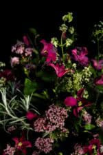 Pink Delight - Detail Clematisstrauß