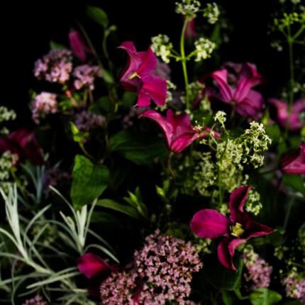 Pink Delight - Detail Clematisstrauß