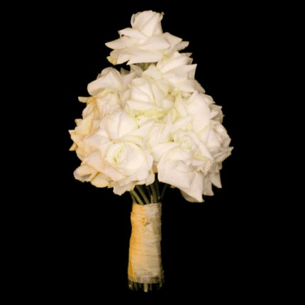 pure white Blumen online bestellen Göttingen