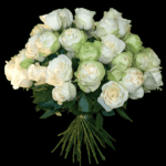 Pure Grace Roses Blumen online bestellen Göttingen