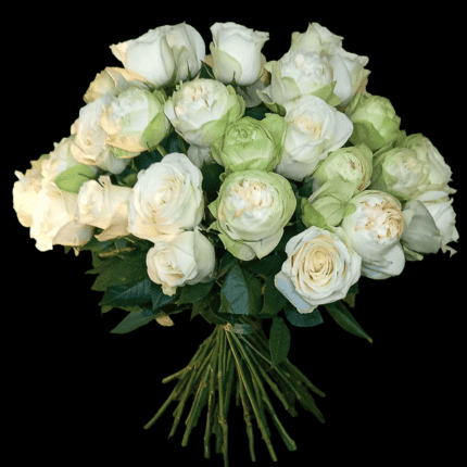 Pure Grace Roses Blumen online bestellen Göttingen