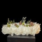 workshop frühlingserwachen