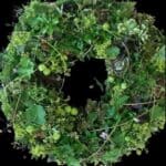 trauerkranz göttingen Blumen online bestellen