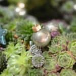 NIKLAS - Adventkranz Nr.13 – Bild 2