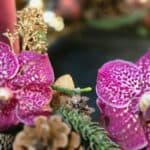 AURELIA - Adventkranz Nr.17 – Bild 4