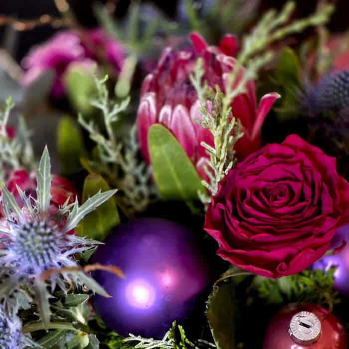 Nordic Protea Noël – Bild 2