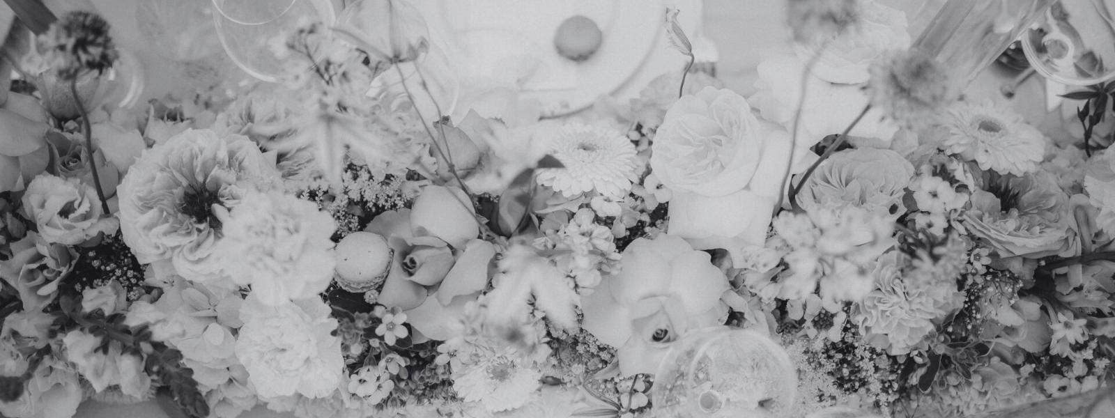 Kein Titel (1600 x 800 px)(12)