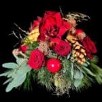 Classic Crimson Amaryllis