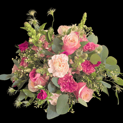 apricot ember sympohny blumen liefern in