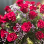 Großer Blumenstrauß aus roten Rosen mit violettem Strandflieder