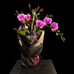 Orchidee Pink Grace – Rosa Orchideenpflanze mit feiner floraler Dekoration, Übertopf und dunkler Geschenkverpackung.