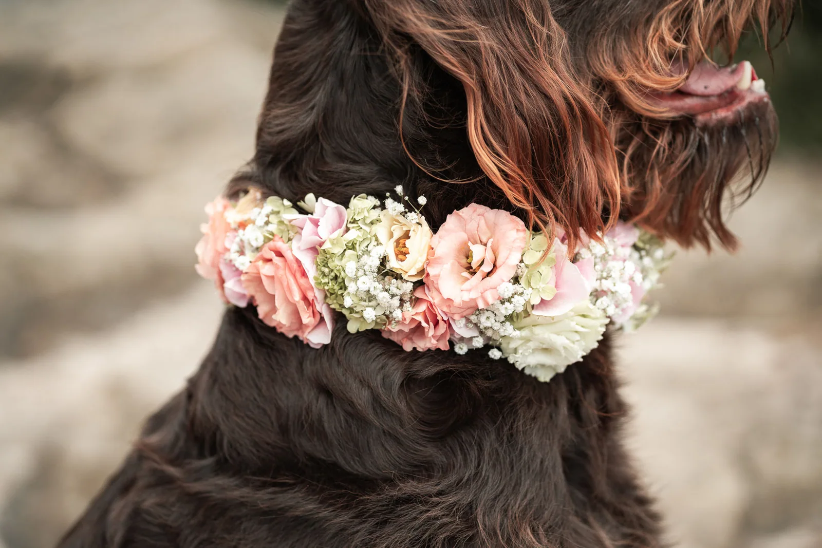 Between Stone & Bloom: Brautlook und Blumen