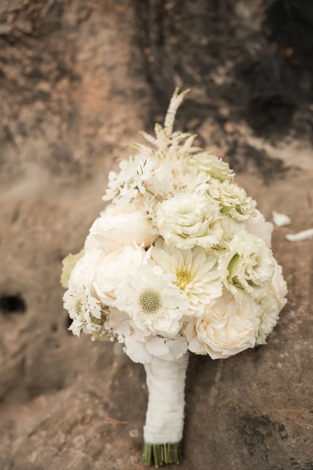 Between Stone & Bloom: Florale Details der Bildserie